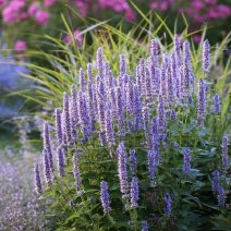 Készleten lévő termékek